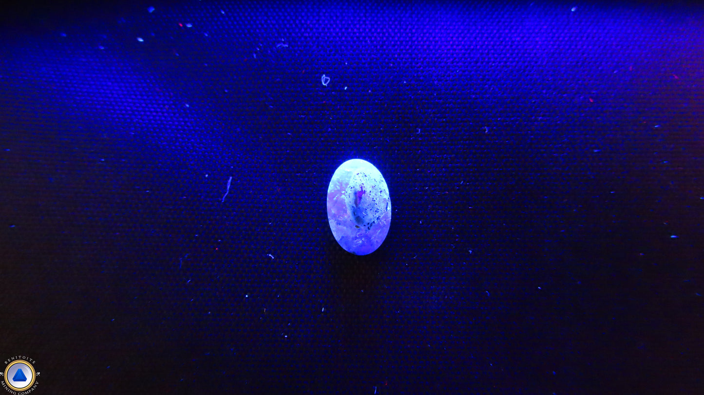 Picture of Item# 1055