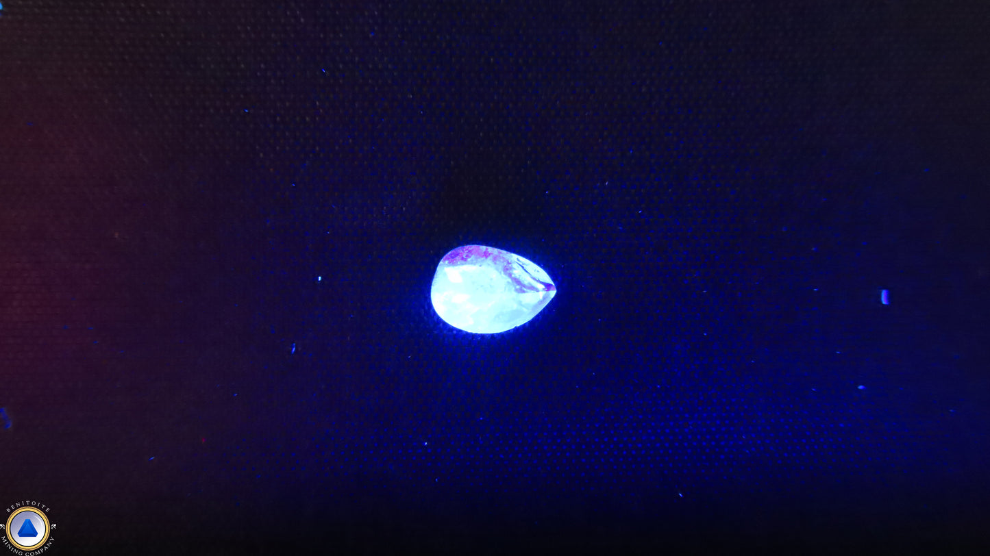 Picture of Item# 1099